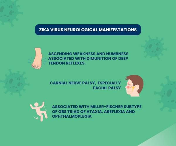 zika-virus-neurological-manifestation